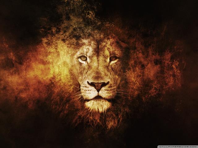 lion digital wallpaper, animals, texture, digital art, big cats, HD wallpaper