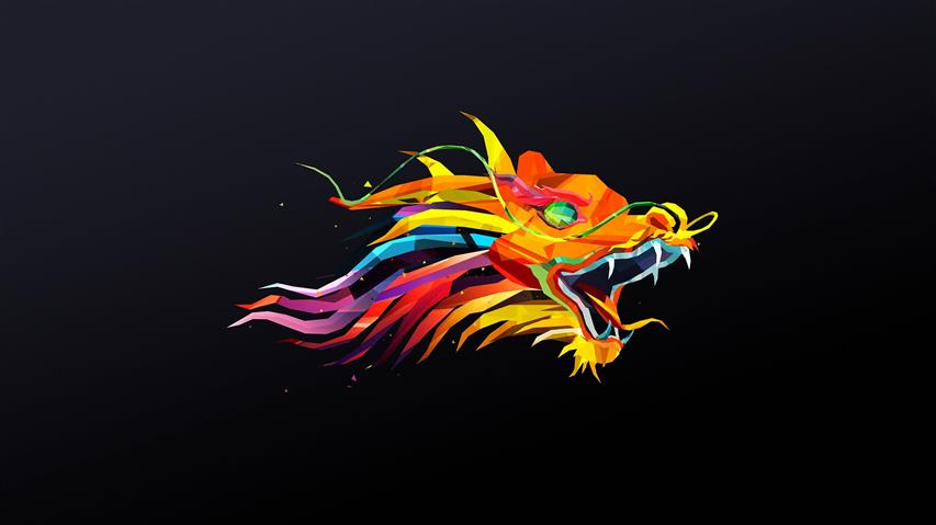 multicolored dragon head illustration, abstract, Justin Maller, HD wallpaper