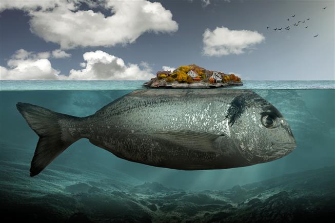 gray fish illustration, artwork, digital art, surreal, underwater, HD wallpaper