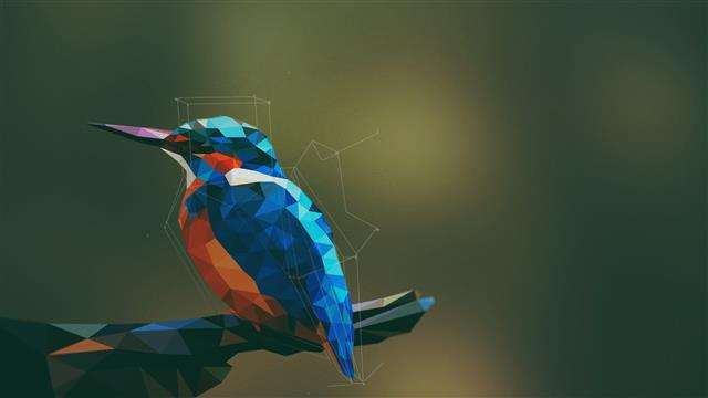 blue and orange bird cubism painting, hummingbird illustration, HD wallpaper