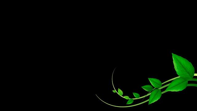 green and black Razer corded gaming mouse, black background, simple, HD wallpaper