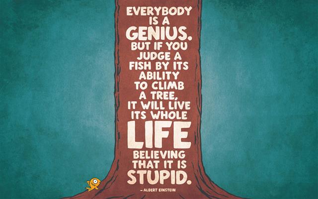 Albert Einstein quote, everybody is a genius text, typography, HD wallpaper