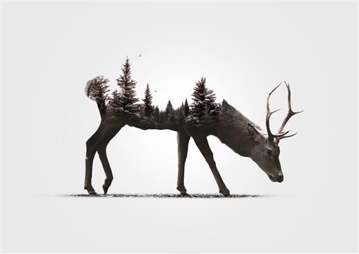 black reindeer illustration, digital art, animals, simple background, HD wallpaper