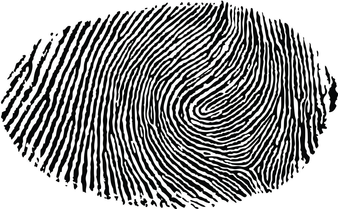 fingerprint illustration, minimalism, white background, fingerprints, HD wallpaper