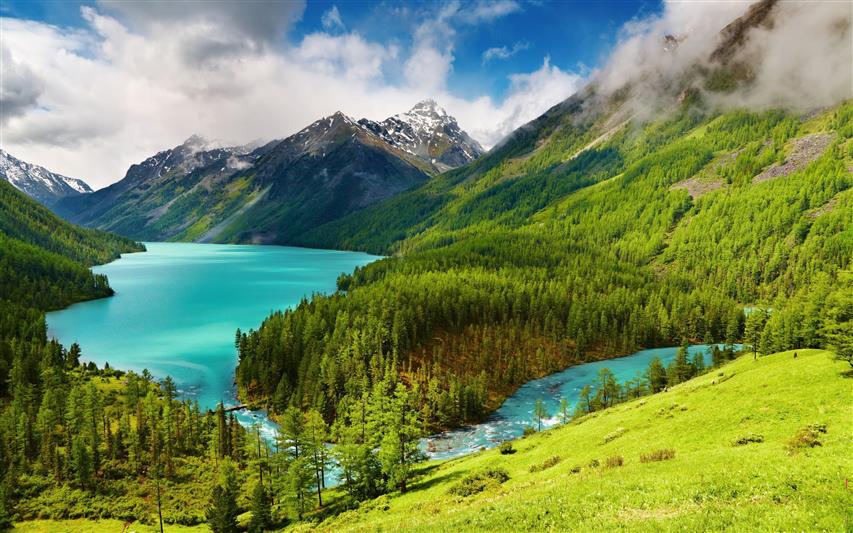 photo of green trees and body of water, nature, landscape, mountains, HD wallpaper