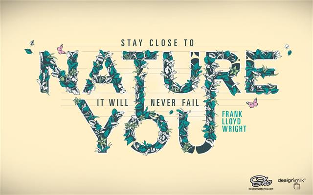 flowers, quote, plants, leaves, letter, butterfly, Frank Lloyd Wright, HD wallpaper
