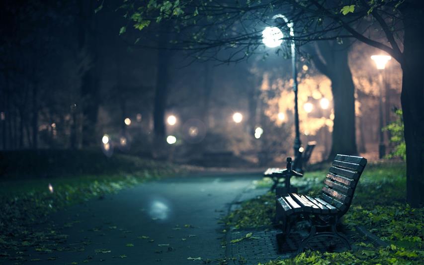 two black benches near tree at night photo, brown wooden slatted bench near tree during nighttime, HD wallpaper