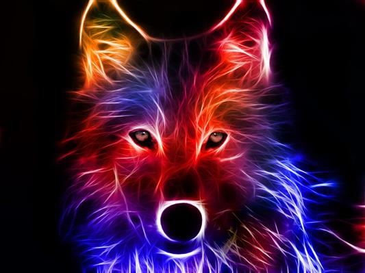 yellow, red, and blue wolf graphic, Animal, Abstract, Colorful, HD wallpaper