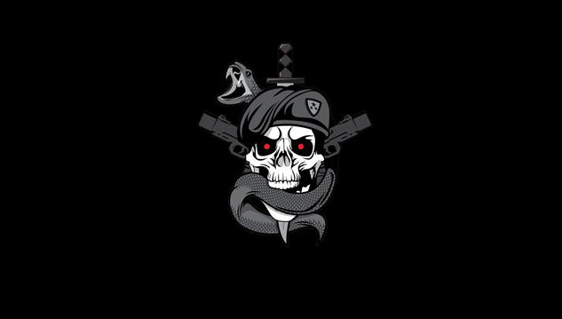 skull with snake digital wallpaper, gray and black skull emblem, HD wallpaper
