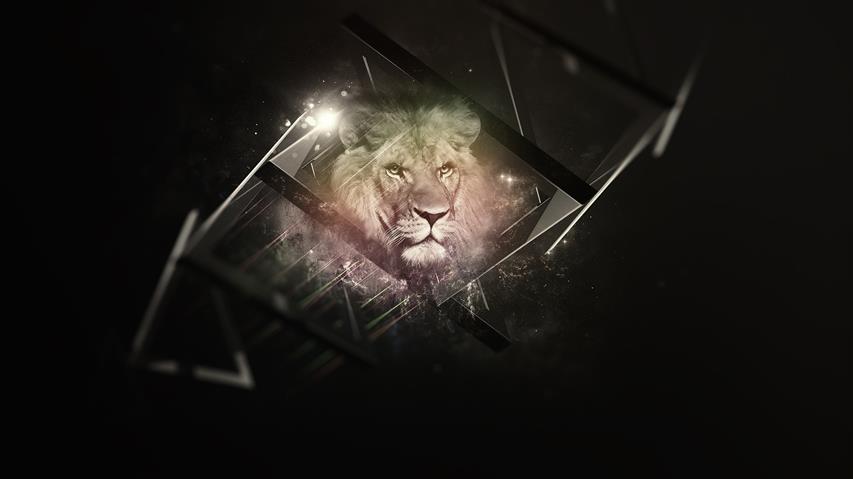 lion digital art illustration, nature, animals, artwork, black background, HD wallpaper