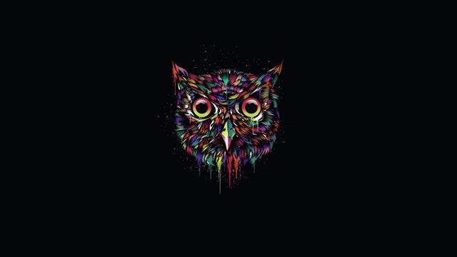 Colorful owl, creative design, black background, red green and purple owl illustration, HD wallpaper