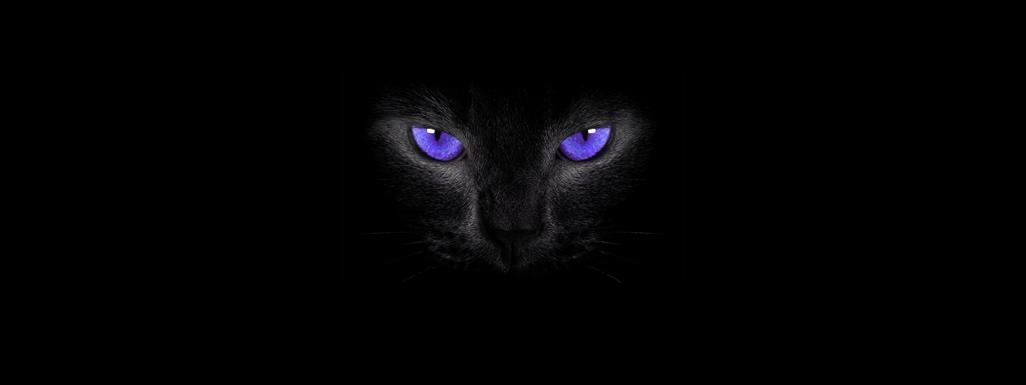 cat eyes, simple background, black cats, smoky eyes, HD wallpaper