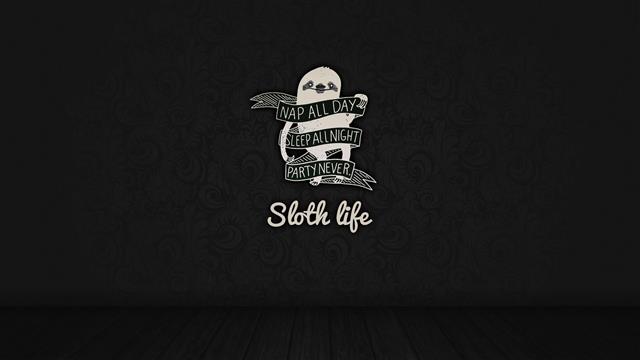 sloth life text, nap all day sleep all night party never sloth life, HD wallpaper