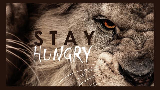 brown lion with text overlay, motivational, typography, animals, HD wallpaper