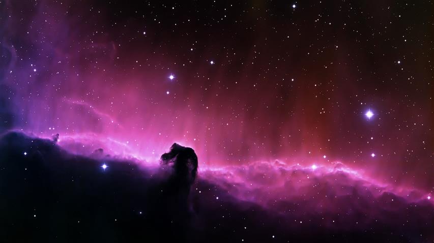pink and black galaxy wallpaper, stars, space, Horsehead Nebula, HD wallpaper