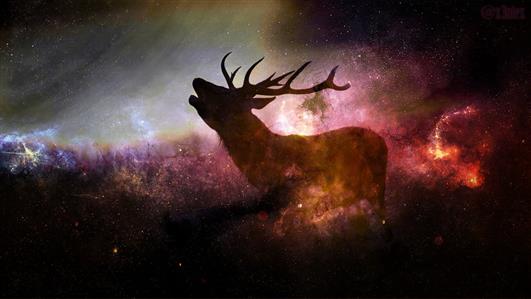 deer digital wallpaper, animals, stars, digital art, animal wildlife, HD wallpaper