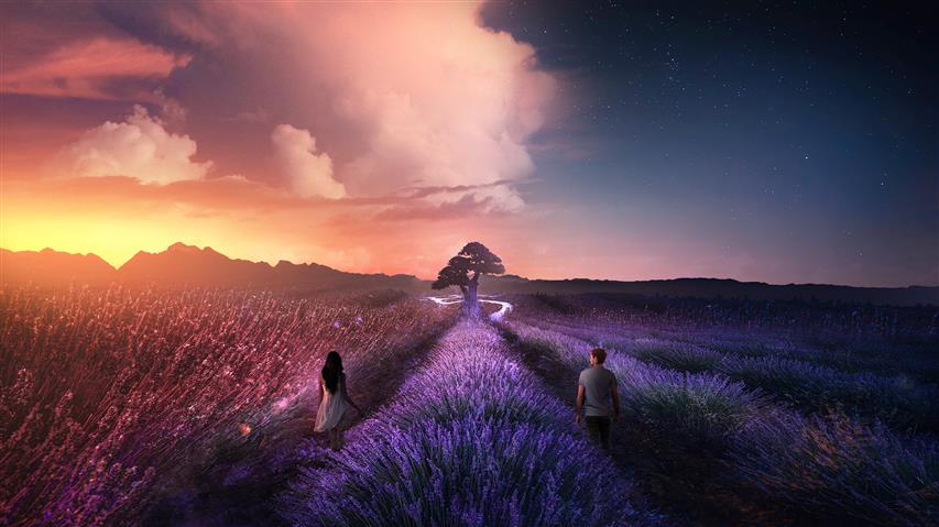 man and woman standing on lavender field wallpaper, nature, landscape, HD wallpaper