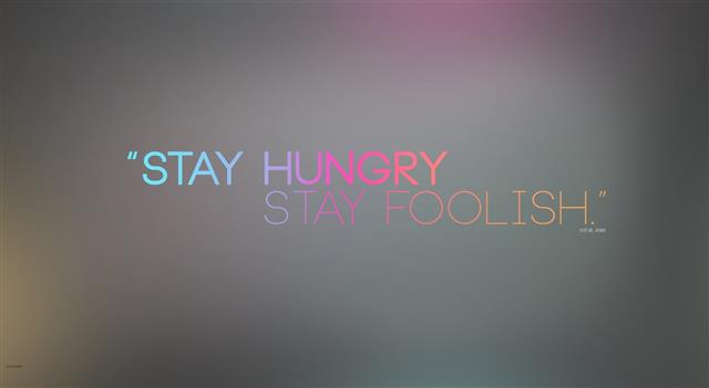 Stay Foolish, gray background with text overlay, Artistic, Typography, HD wallpaper