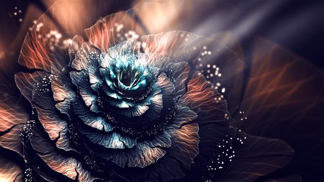 blue and brown flower 3D wallpaper, abstract, fractal, fractal flowers, HD wallpaper
