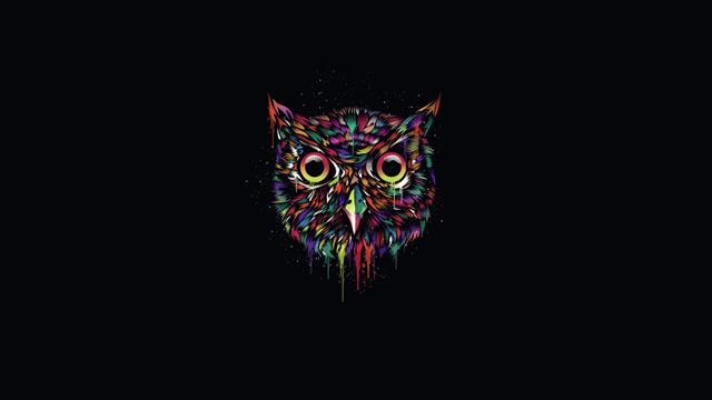 multicolored owl illustration, the dark background, paint, minimalism, HD wallpaper