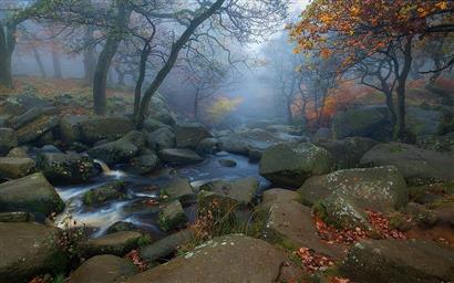 river between rocks, landscape, nature, trees, fall, leaves, morning, HD wallpaper