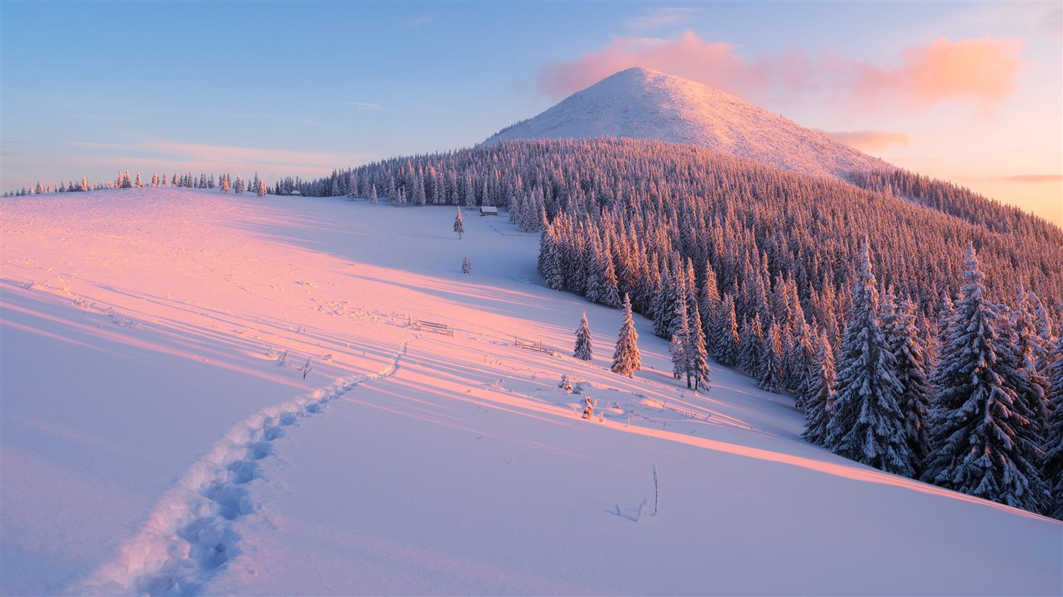 snow mountain digital wallpaper, winter, forest, clouds, rays, HD wallpaper
