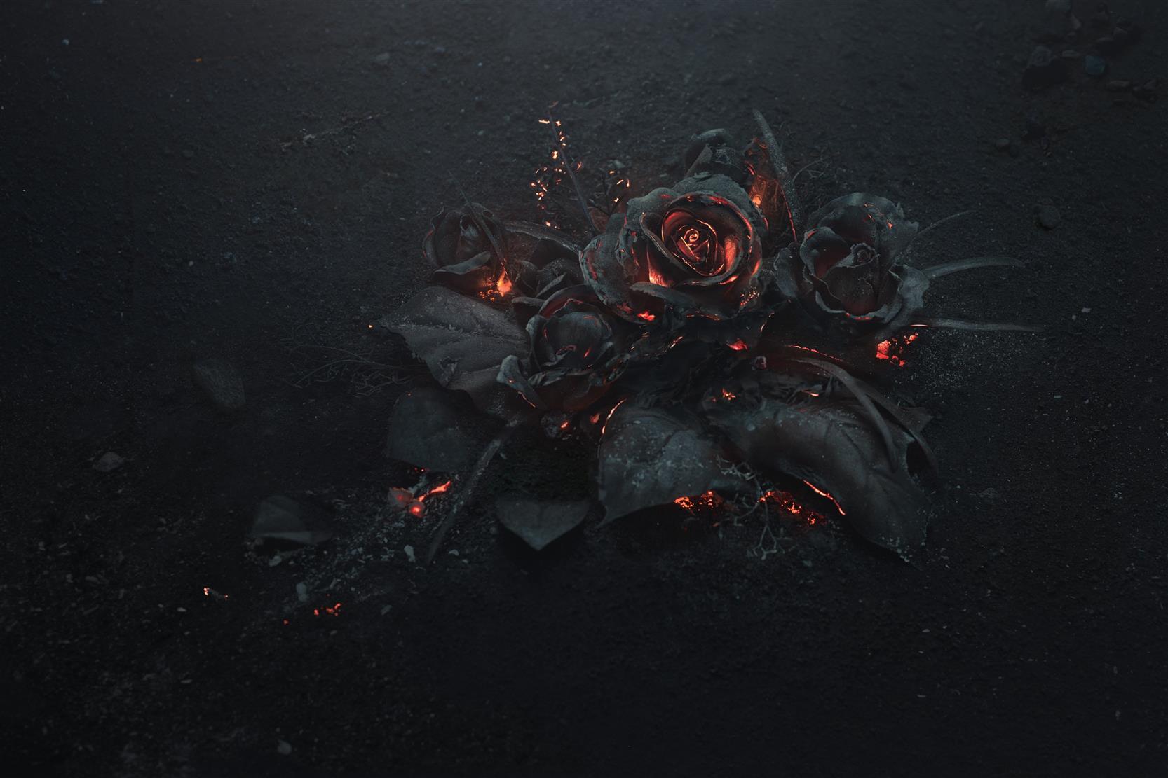 black rose illustration, ash, burning, abstract, dark, flowers, HD wallpaper