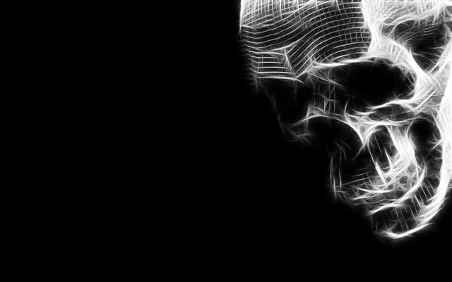 Fractal Skull, cool, black, background, white, 3d and abstract, HD wallpaper