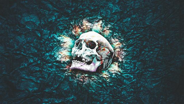 white and teal skull painting, skull and bones, abstract, pattern, HD wallpaper