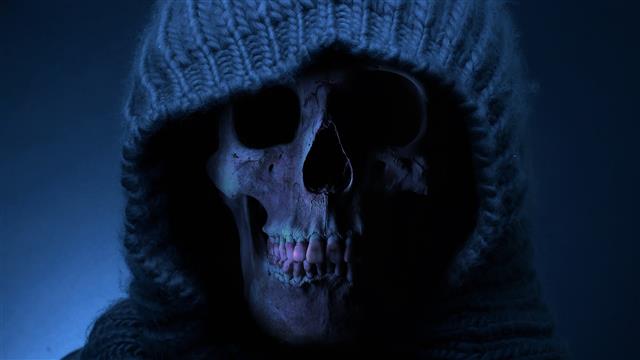 gray skull with brown cape wallpaper, dead, bones, horror, spooky, HD wallpaper