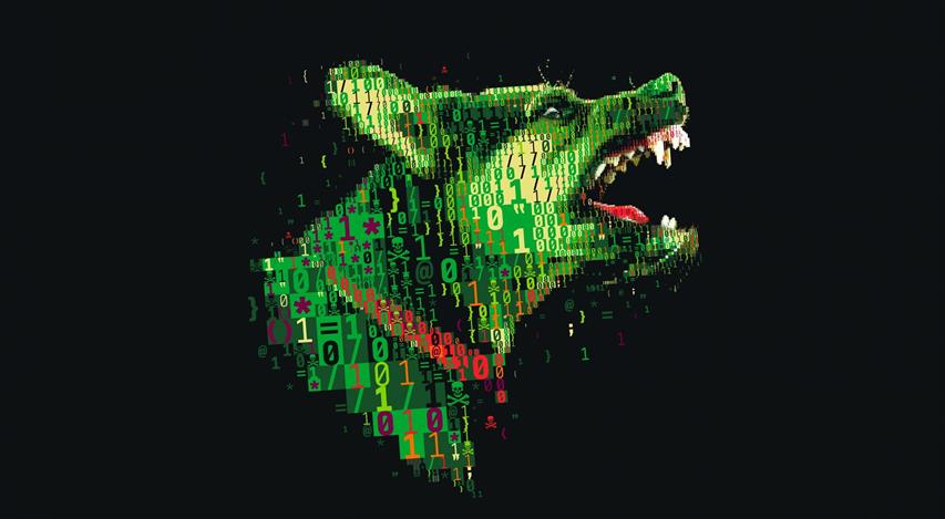 green dog digital photo, digital art, numbers, skull and bones, HD wallpaper
