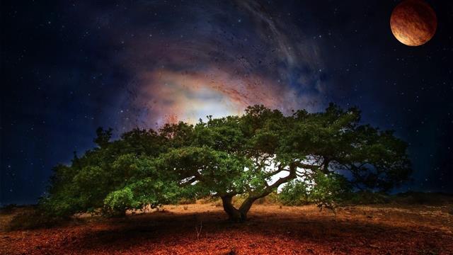 sky, nature, atmosphere, tree, moon, night, starry, astronomical object, HD wallpaper