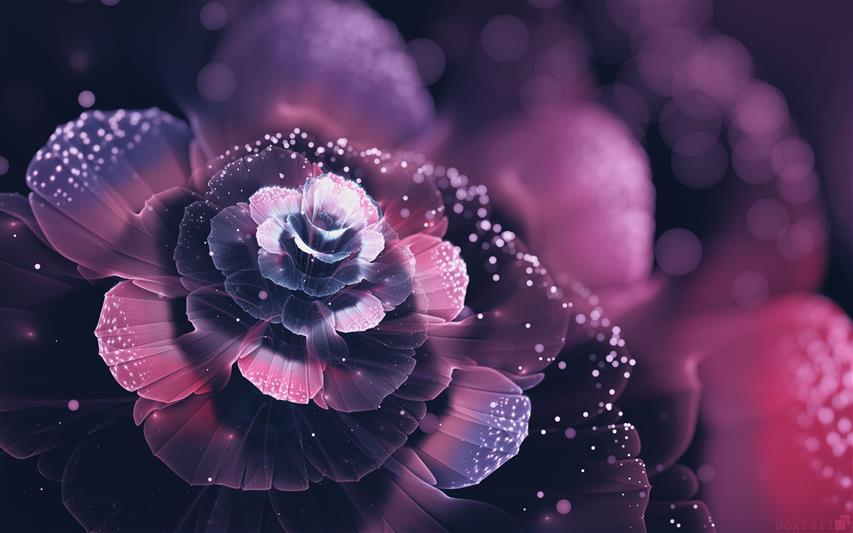 purple petal flower illustration, brown and red flowers closeup photography, HD wallpaper