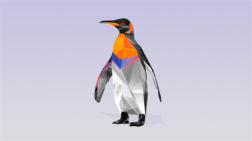 orange, black, and white penguin digital wallpaper, Facets, animals, HD wallpaper