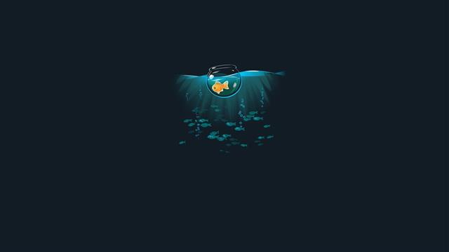 animals, simple background, underwater, fish, threadless, humor, HD wallpaper