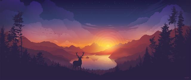 landscape, valley, lake, forest, colorscape, sunset, elk, deer, HD wallpaper
