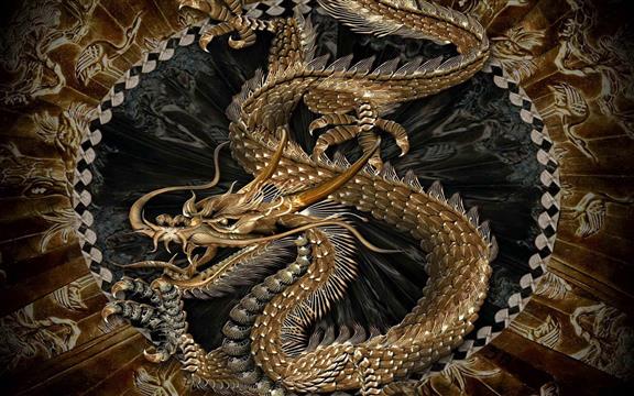gold and silver dragon illustration, chinese dragon, animal themes, HD wallpaper