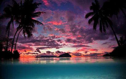 palm trees painting, landscape, nature, Tahiti, sunset, island, HD wallpaper