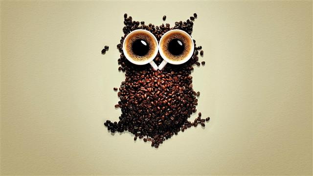 two white mugs, brown owl beans-themed decor, coffee, coffee beans, HD wallpaper