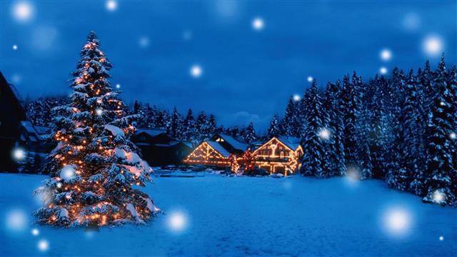 1920x1080 px Beautiful christmas gift holiday merry Santa snow tree winter Animals Bears HD Art, HD wallpaper