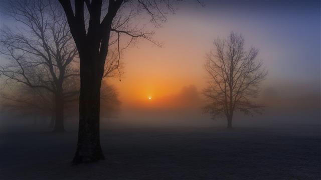 1920x1080 px mist Nature Other HD Art, tree, sunset, sky, beauty in nature, HD wallpaper