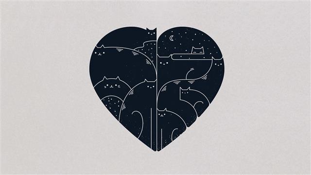black and white heart illustration, minimalism, cat, artwork, HD wallpaper