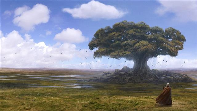 1920x1080 px Andreas artwork clouds crows drawings Horizon landscapes plains Rocha skyscapes Trees Anime Card Captor Sakura HD Art, HD wallpaper