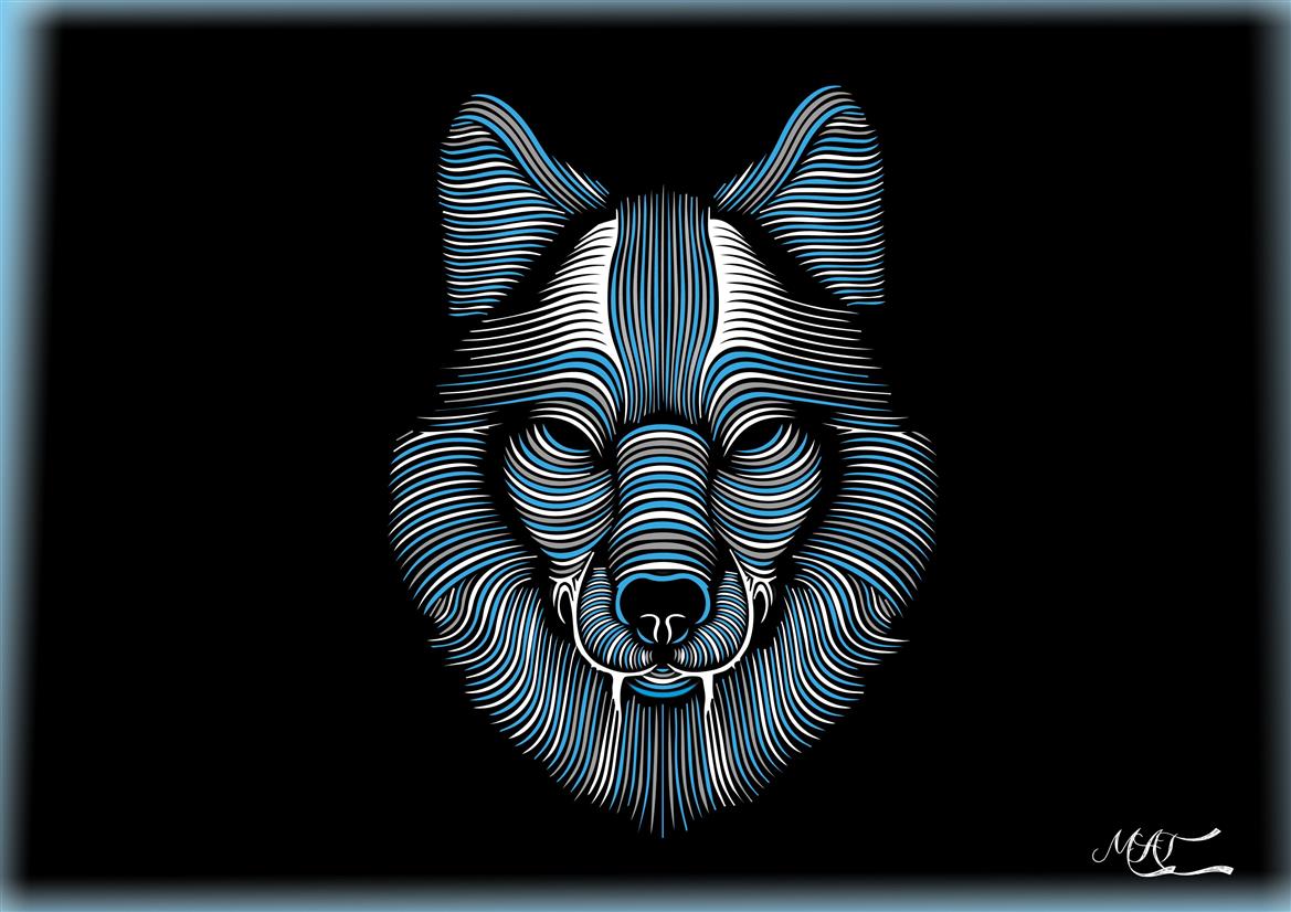 wolf HD wallpaper, animals, cyan, white, black background, simple, HD wallpaper