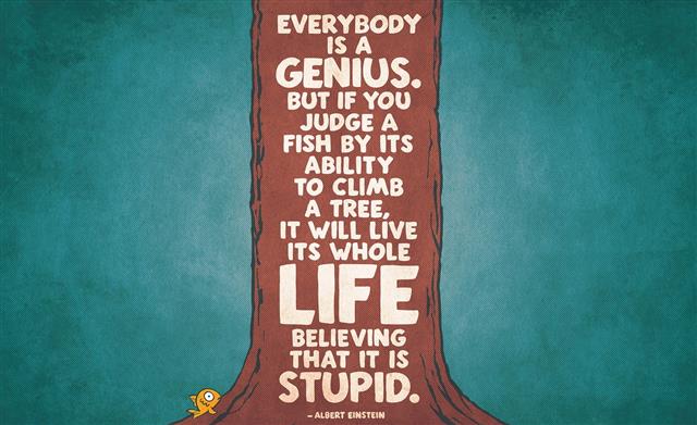 Everybody is a Genius, brown background with text overlay, Artistic, HD wallpaper