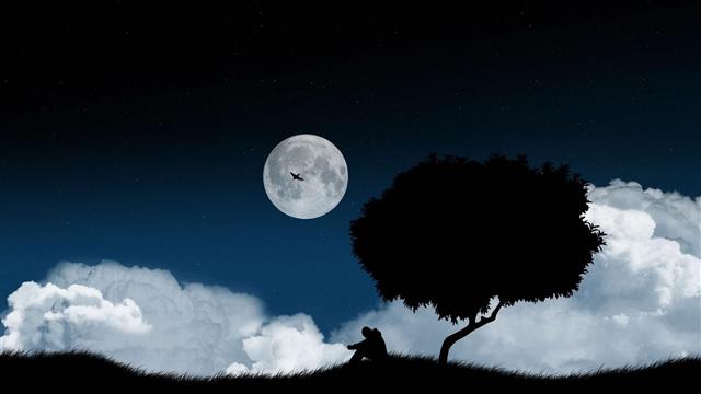alone, sad, lone tree, full moon, sky, cloud, silhouette, lonely tree, HD wallpaper