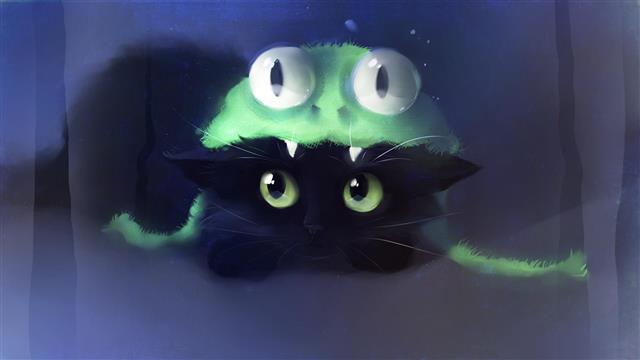 Frog Cat, paws, black, bubbles, kitten, cute, kitty, apofiss, HD wallpaper