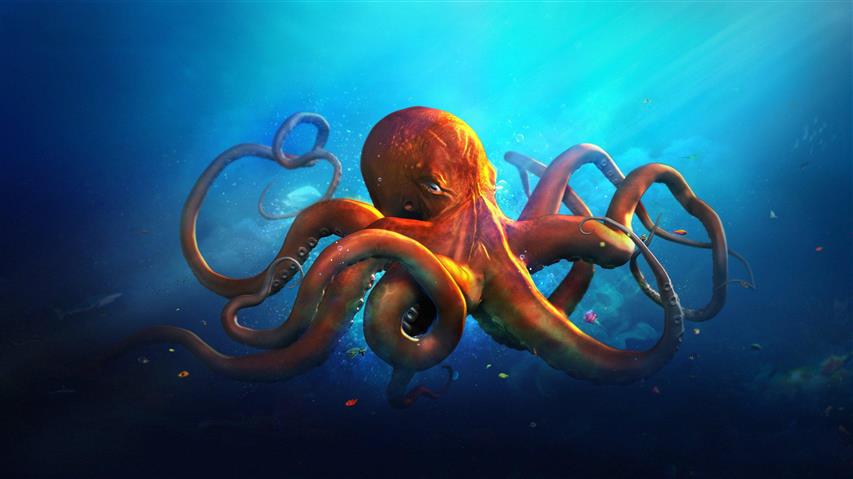 Underwater World Animals Octopus Ocean Sea Fantasy Artwork Art HD 1080p, orange octopus illustration, HD wallpaper