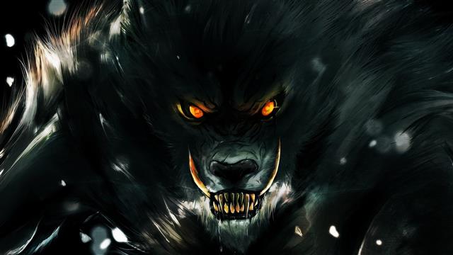 gray werewolf wallpaper, digital art, fantasy art, animals, werewolves, HD wallpaper