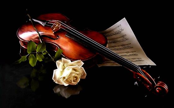 just music beautiful beauty black background crazy divine Enchantment flowers life Love lovely magic HD, HD wallpaper